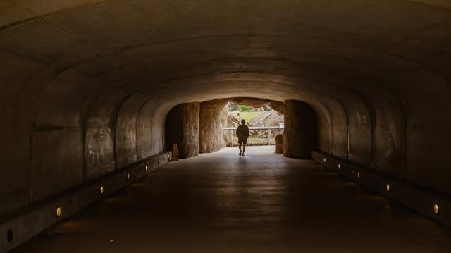 What Happens If You Skip Crawl Space Encapsulation? 