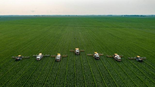 Is a Masters in Agribusiness Right for You?