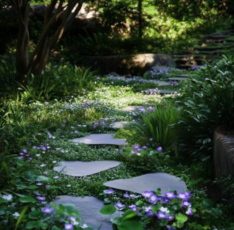 Creating Sustainable Gardens with Native Australian Plants