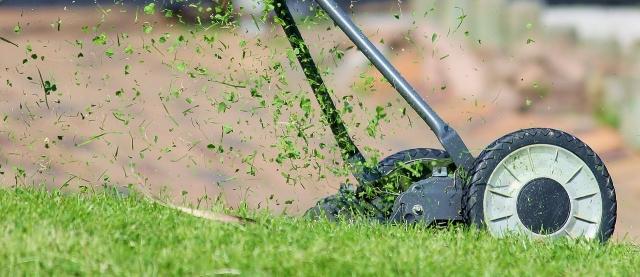 5 Easy Lawn Care Tips for a Healthier Yard